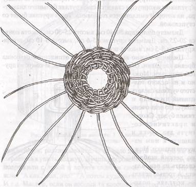 Такой вид примет ваше плетение, когда сплетете донце горловины